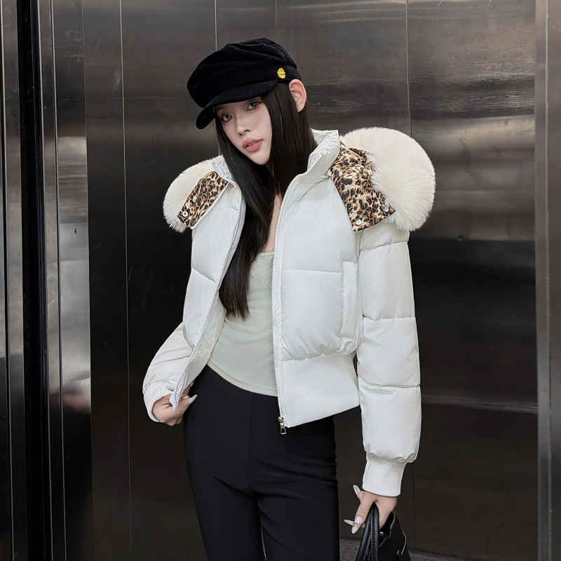 韓国風、取り外し可能な袖、レオパード柄、ファーカラー、ショー - Queen Street Fashion のレビューと価格